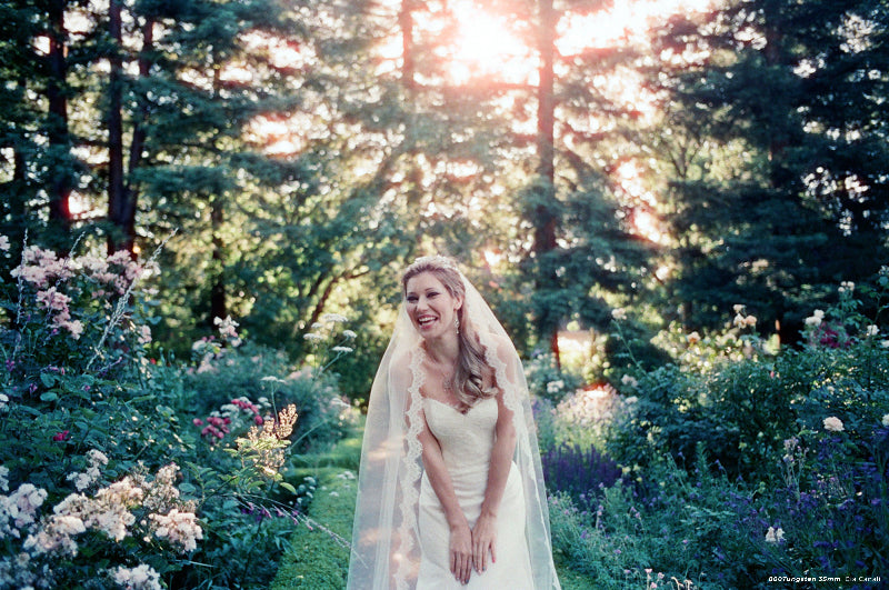 Cinestill 800T colour film