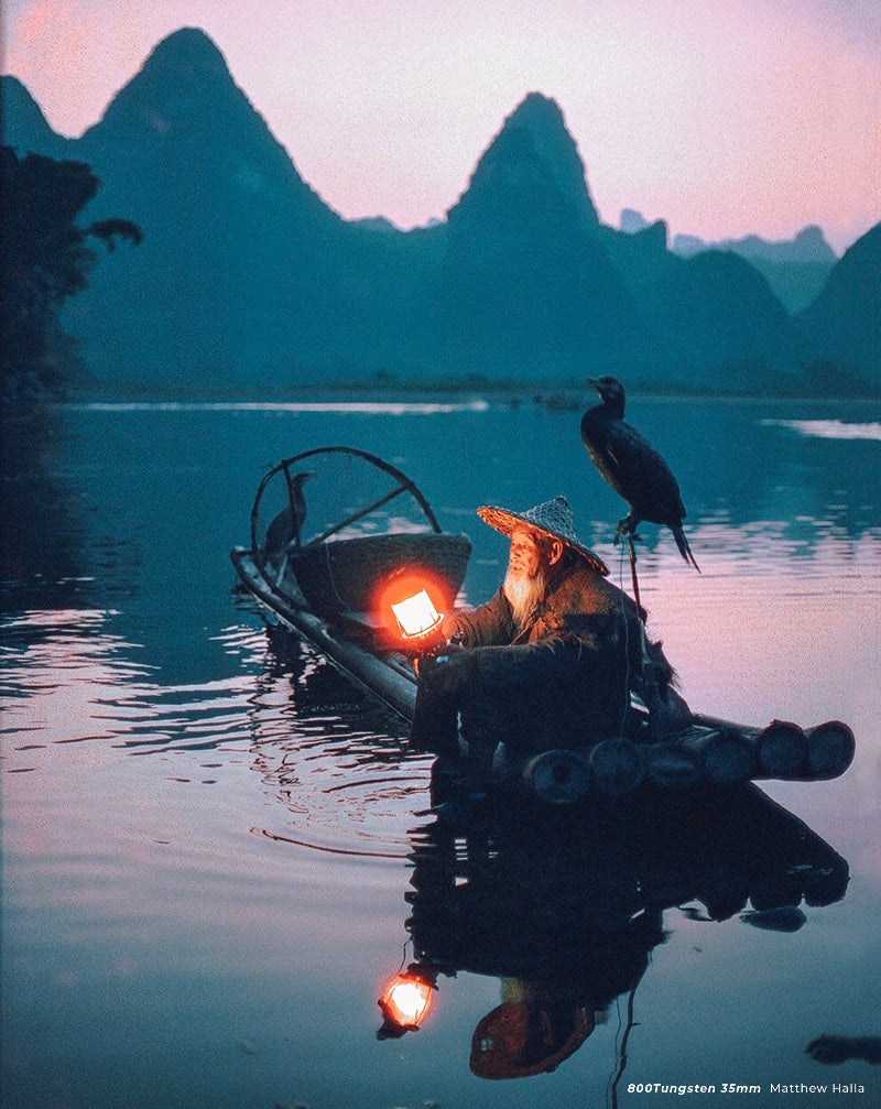 Cinestill 800T colour film